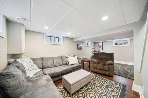 Spaceious Basement Family Room