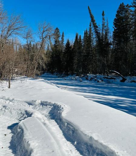 Sturgeon River 20 Acres Riverside.jpg
