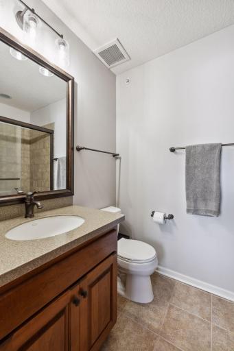 300 Lythrum Lane, Medina, MN 55340