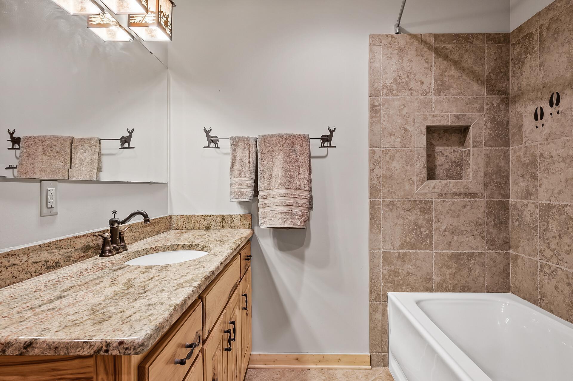 Lower level full bathroom