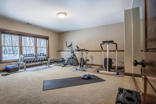 Lower Level Bedroom with closet being used as an exercise room. Home does have additional designated exercise room.