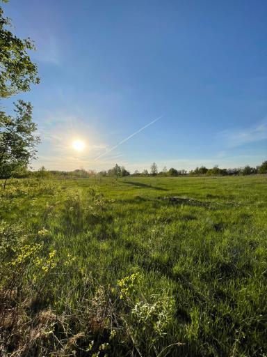 Photo for TBD 151st Avenue, Sebeka, MN 56477 - Listing #6333005 TBD 151st Avenue, Sebeka, MN 56477