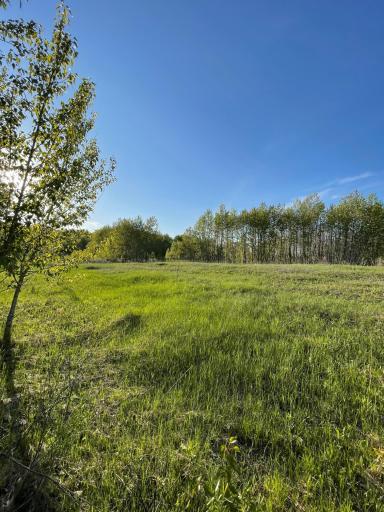 Photo for TBD 151st Avenue, Sebeka, MN 56477 - Listing #6333005 TBD 151st Avenue, Sebeka, MN 56477