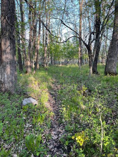 Photo for TBD 151st Avenue, Sebeka, MN 56477 - Listing #6333005 TBD 151st Avenue, Sebeka, MN 56477