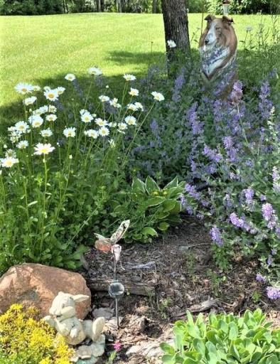 Photo for 56249 350th Street, Warroad, MN 56763 - Listing #6333325 56249 350th Street, Warroad, MN 56763