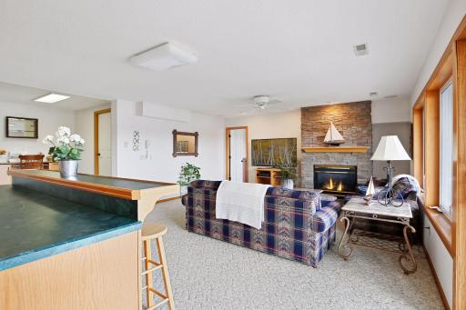 Lower level family room (another fireplace!)