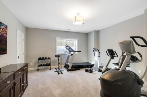 75-web-or-mls-3021 County Road 101 S, Minnetonka-75.jpg