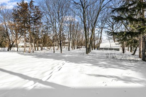 89-web-or-mls-3021 County Road 101 S, Minnetonka-89.jpg