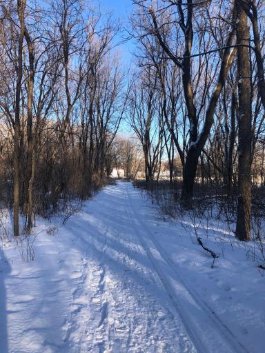 4280 Buck Lake Road, Watertown, MN 55388