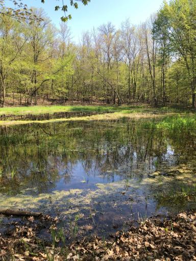 4280 Buck Lake Road, Watertown, MN 55388