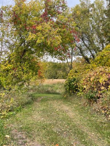 4280 Buck Lake Road, Watertown, MN 55388