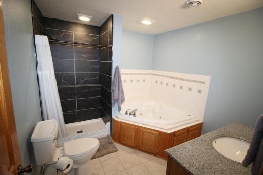 Lower level bathroom with walk-in shower and jet tub..JPG