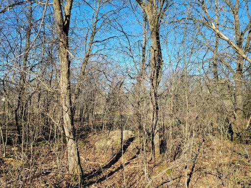 Lot 26 475th Street, Wheeler, WI 54772