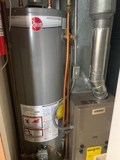 Furnace/water heater
