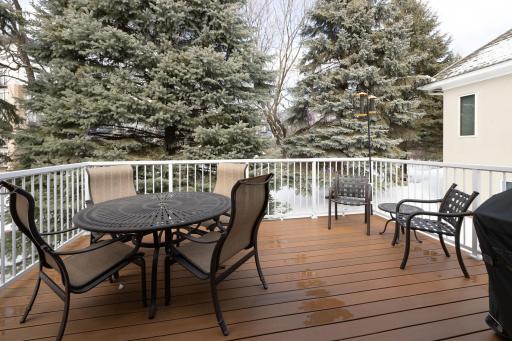 Maintenance free deck off the hearth room. Look at those blue spruce!