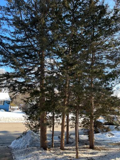 118 Cedar Lane Drive, Jordan, MN 55352