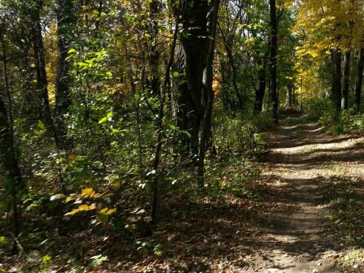 Ferris 40 acres_6.jpg