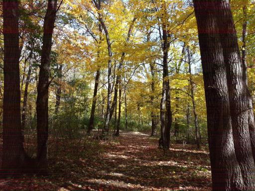 Ferris 40 acres_1.jpg