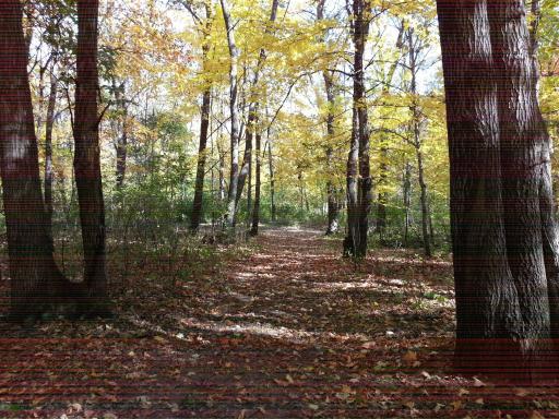 Ferris 40 acres_2.jpg