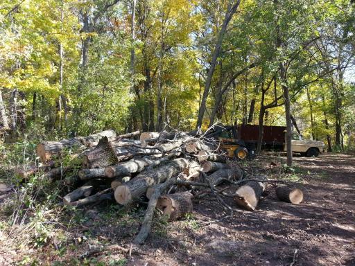 Ferris 40 acres_5.jpg