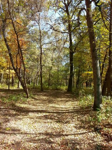 Ferris 40 acres_4.jpg