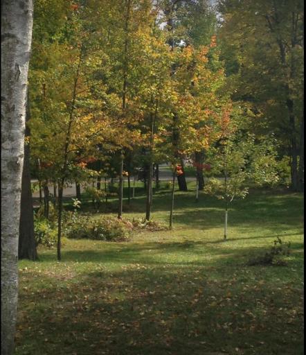 14666 Wolf Trail, Crosslake, MN 56442
