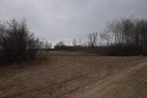 DSC_0925.JPG