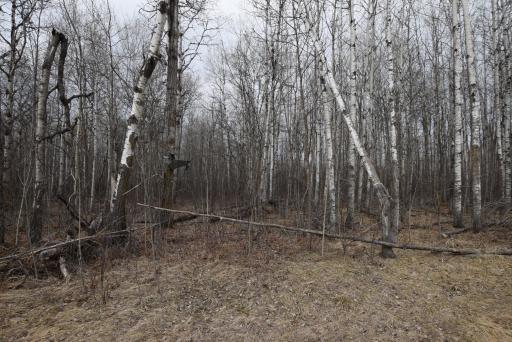 DSC_0961.JPG