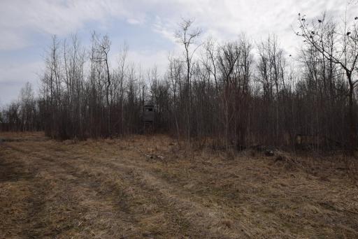 DSC_0966.JPG