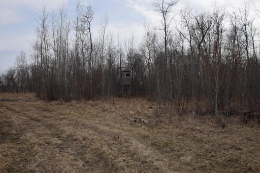 DSC_0967.JPG