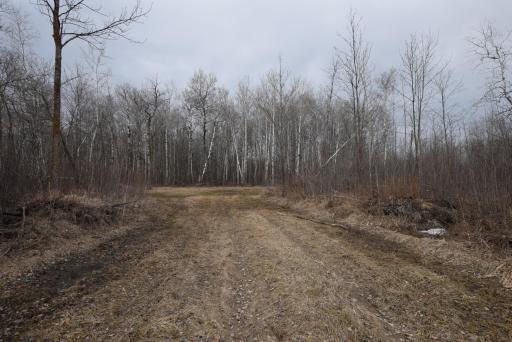 DSC_0960.JPG