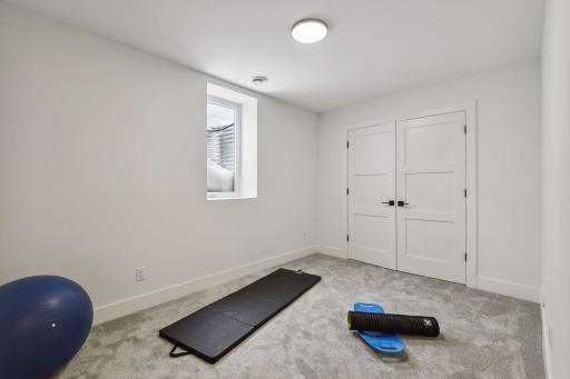 Lower level (5th) bedroom also could be used as exersize room.