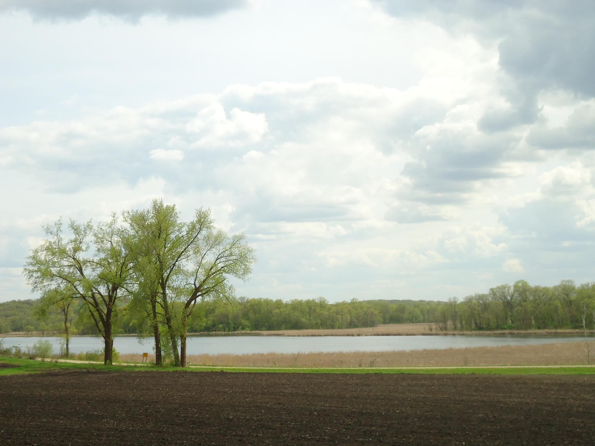 12 Lake Rd Lake View.jpg