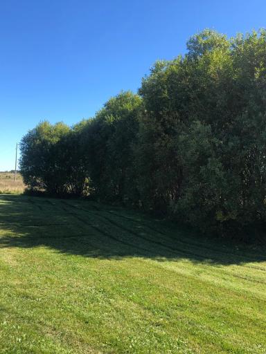 Photo for 41671 County 7, Clearbrook, MN 56634 - Listing #6342504 41671 County 7, Clearbrook, MN 56634