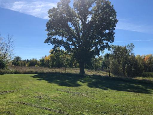 Photo for 41671 County 7, Clearbrook, MN 56634 - Listing #6342504 41671 County 7, Clearbrook, MN 56634