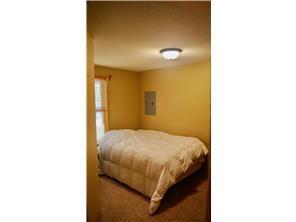 W3372 235th Avenue, Maiden Rock, WI 54750