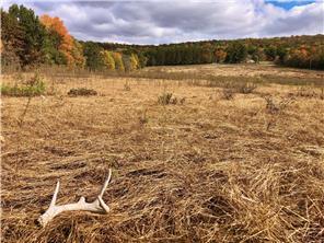 W3372 235th Avenue, Maiden Rock, WI 54750
