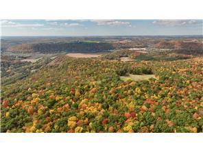 W3372 235th Avenue, Maiden Rock, WI 54750