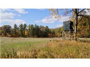 W3372 235th Avenue, Maiden Rock, WI 54750
