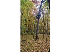 W3372 235th Avenue, Maiden Rock, WI 54750