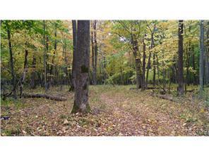 W3372 235th Avenue, Maiden Rock, WI 54750