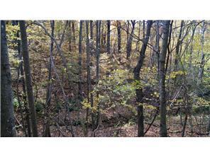 W3372 235th Avenue, Maiden Rock, WI 54750