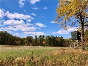 W3372 235th Avenue, Maiden Rock, WI 54750