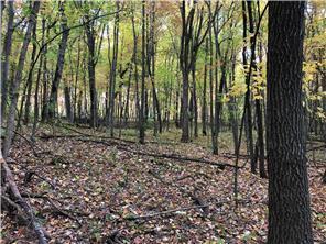 W3372 235th Avenue, Maiden Rock, WI 54750