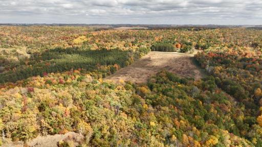W3372 235th Avenue, Maiden Rock, WI 54750