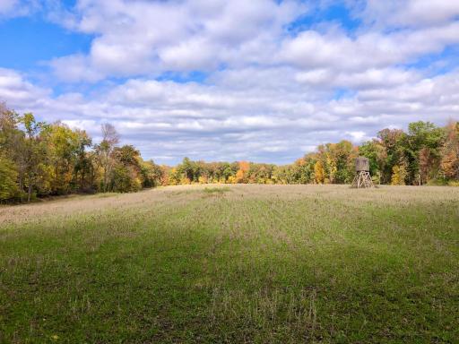 W3372 235th Avenue, Maiden Rock, WI 54750