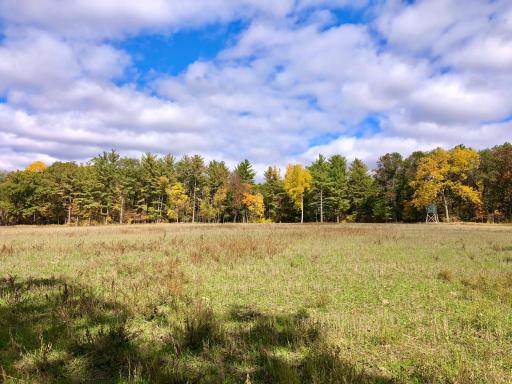 W3372 235th Avenue, Maiden Rock, WI 54750