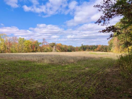 W3372 235th Avenue, Maiden Rock, WI 54750