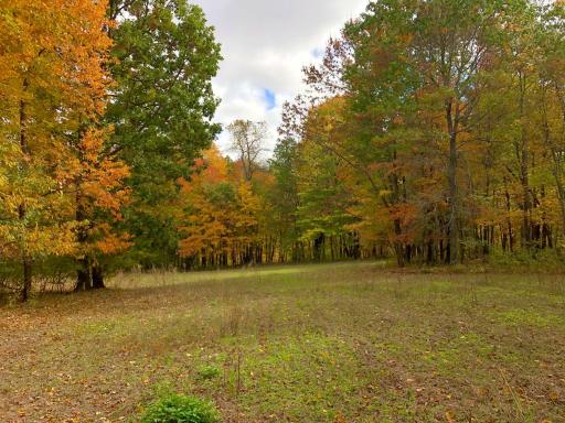 W3372 235th Avenue, Maiden Rock, WI 54750