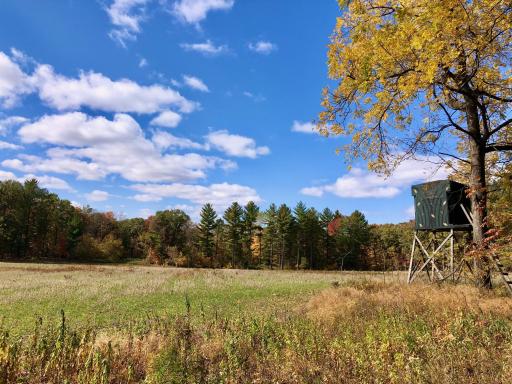 W3372 235th Avenue, Maiden Rock, WI 54750
